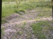 Satılır 65 sot torpaq Quba