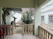 İcarəyə verilir 4 otaqlı 180 m2 həyət evi Qusar