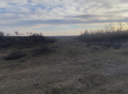 Satılır 2500 sot torpaq İmişli