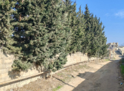 Satılır 15 sot torpaq Sea Breeze Resort