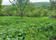 Satılır 12 sot torpaq İsmayıllı