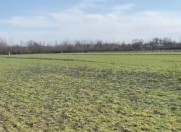 Satılır 500 sot torpaq Qəbələ