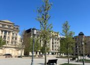 Satılır 3 otaqlı 102 m2 yeni tikili Badamdar