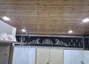 Satılır 3 otaqlı 65 m2 yeni tikili Gəncə