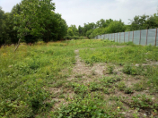 Satılır 10 sot torpaq Qəbələ