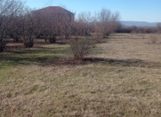 Satılır 15 sot torpaq Qəbələ