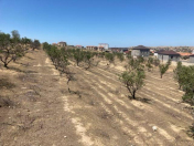 Satılır 48 sot torpaq Qurtuluş - 93 Yaşayış Kompleksi