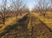 Satılır 400 sot torpaq Xaçmaz