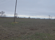 Satılır 1000 sot torpaq Xaçmaz