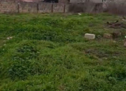 Satılır 10 sot torpaq Novxanı