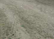 Satılır 6 sot torpaq Göygöl