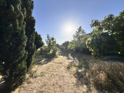 Satılır 12 sot torpaq Albalı