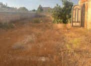 Satılır 4 sot torpaq Buzovna