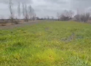 Satılır 12 sot torpaq Şabran