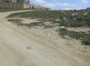 Satılır 12 sot torpaq Saray