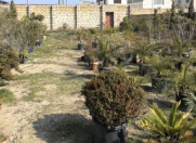 Satılır 3 sot torpaq Sumqayıt