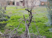 Satılır 15 sot torpaq Səbail r.