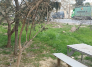 Satılır 3 sot torpaq Yeni Yasamal