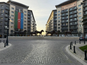 Satılır 4 otaqlı 166 m2 yeni tikili Ağ şəhər