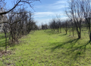 Satılır 30 sot torpaq Yevlax