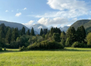 Satılır 53 sot torpaq Xaçmaz