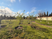 Satılır 30 sot torpaq Mərdəkan