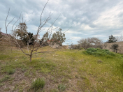 Satılır 12 sot torpaq Mərdəkan