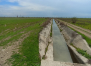 Satılır 1428 sot torpaq Hacıqabul