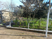 Satılır 10 sot torpaq Bilgəh