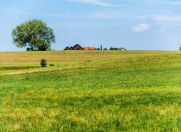 Satılır 25 sot torpaq Suraxanı r.