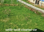 Satılır 10 sot torpaq Quba