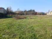 Satılır 74 sot torpaq Masallı