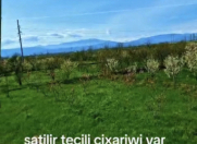 Satılır 10 sot torpaq Quba