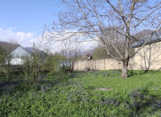 Satılır 20 sot torpaq Qəbələ