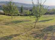 Satılır 18 sot torpaq İsmayıllı