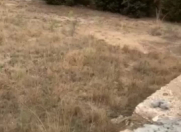 Satılır 5 sot torpaq Dübəndi bağları
