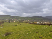 Satılır 36 sot torpaq Şabran