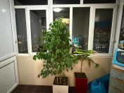 Satılır 4 otaqlı 154 m2 yeni tikili Qara Qarayev m.