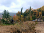 Satılır 13.5 sot torpaq Qusar