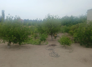 Satılır 9 sot torpaq Novxanı