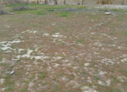Satılır 6 sot torpaq Saray