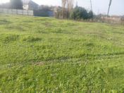 Satılır 7 sot torpaq Masallı