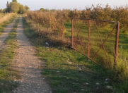 Satılır 166 sot torpaq Qusar