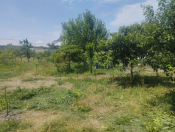 Satılır 108 sot torpaq Mingəçevir