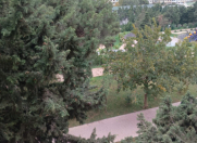 Satılır 3 otaqlı 90 m2 köhnə tikili Həzi Aslanov